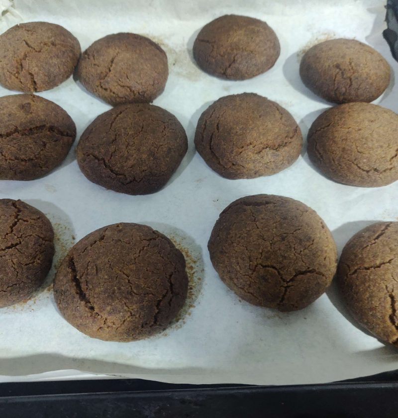 Freshly Baked Chocolate Coconut Cookies